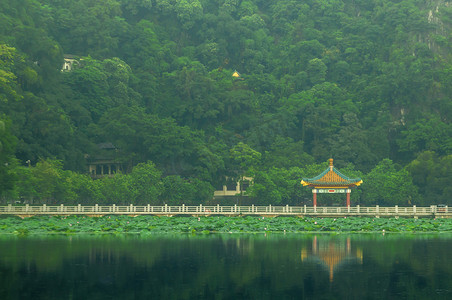 山水长廊荷花摄影图