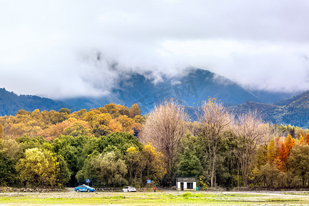 红叶树木山脉白云摄影图