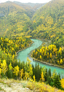 秋天白桦林河流摄影图