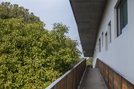 茂盛绿植旁长走廊走道特写建筑摄影图