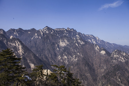 国潮风草木摄影照片_河南省平顶山市鲁山县自然风光风景名胜尧山群山草木摄影图