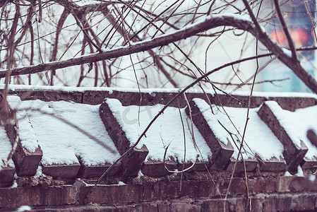 北方雪中旱柳与红墙摄影图