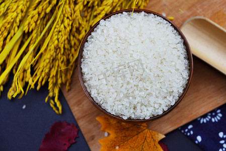 粮食水稻大米摄影图