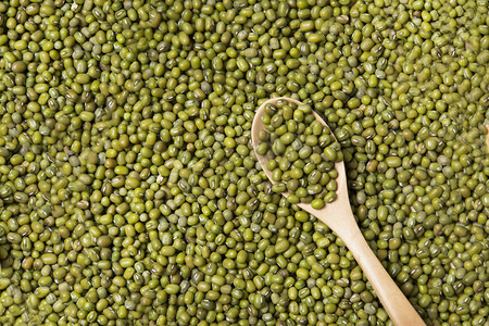 食材绿豆摄影图