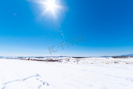 春节草原摄影照片_阳光下雪地美景摄影图