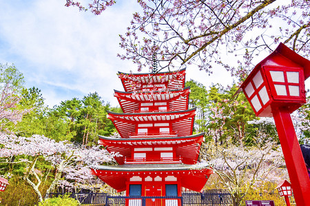 日本旅游易拉宝摄影照片_日本古代的红色寺庙建筑和樱花摄影图