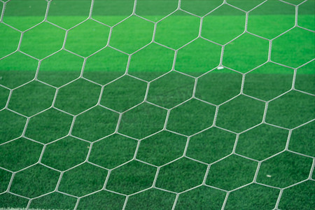 绿色足球网摄影图
