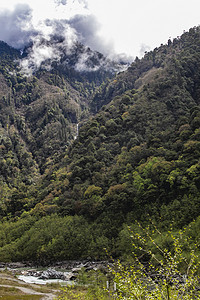 白云山谷森林摄影图