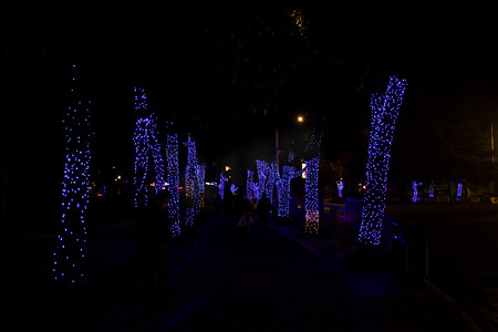 城市夜景树灯广角摄影图