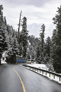 松树公路山摄影图