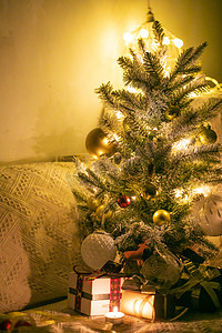 圣诞树摄影照片_挂彩灯的圣诞树摄影图