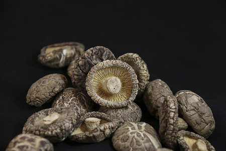 干货香菇食材摄影图