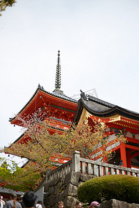 日本古建筑古塔古楼摄影图