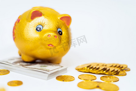 金猪理财金融摄影图