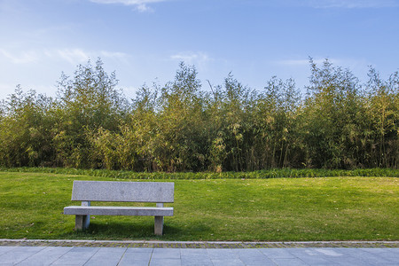 公园长椅树林远景自然风景摄影图