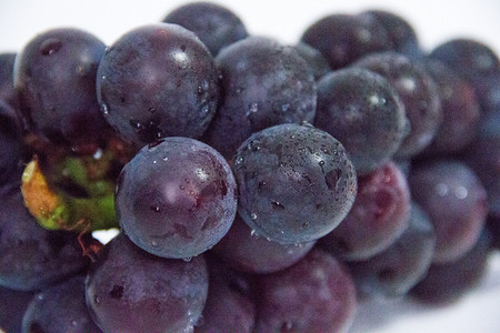 水果葡萄摄影图