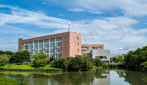 大学迎新群摄影照片_广东外语外贸大学一角摄影图