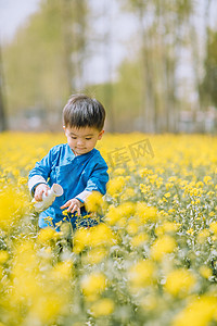 油菜花地里面大笑的小男孩