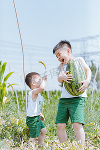 中国小孩阅读摄影照片_西瓜地里摘西瓜的小孩