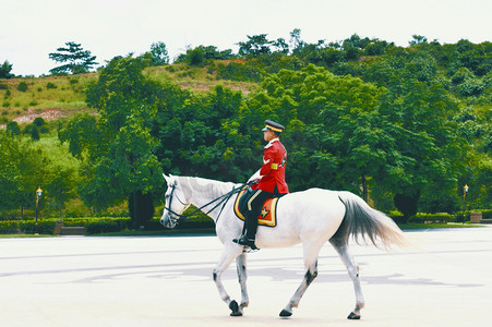假面骑士龙骑摄影照片_马来西亚的骑白马的骑士