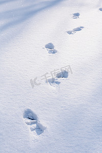 雪后雪地上一串脚印摄影图