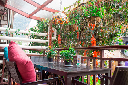 清新盆栽摄影照片_阳台上绿植餐桌摄影图