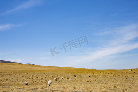 大地摄影照片_蓝天大地摄影图