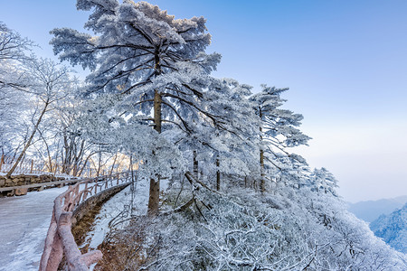 初冬字体摄影照片_栏杆松树和白雪摄影图