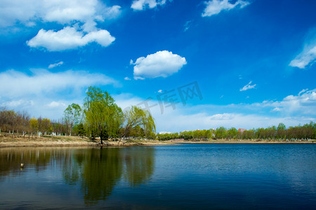 公园小湖边风光风景摄影图