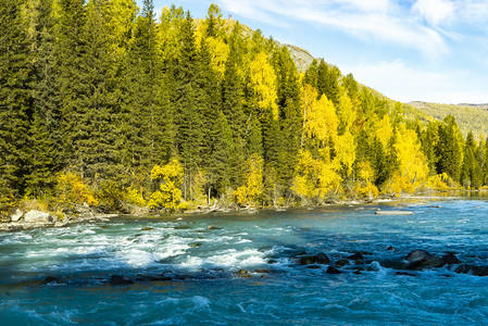 秋天树木河水摄影图