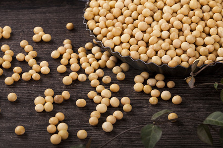 食物养生杂粮黄豆摄影图配图