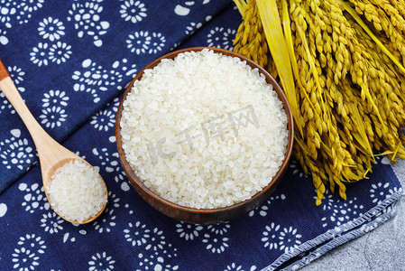 水稻大米摄影图