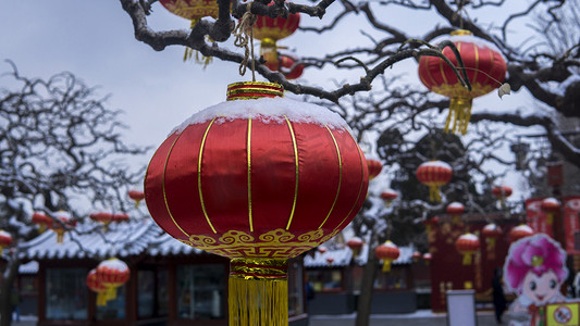 喜庆雪后红灯笼摄影图