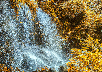秋天树木瀑布摄影图
