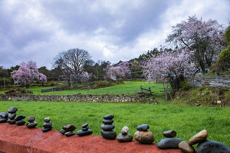 西藏林芝风景摄影图