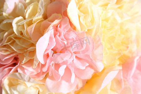 散落的桃心摄影照片_婚礼现场的粉嫩的花瓣
