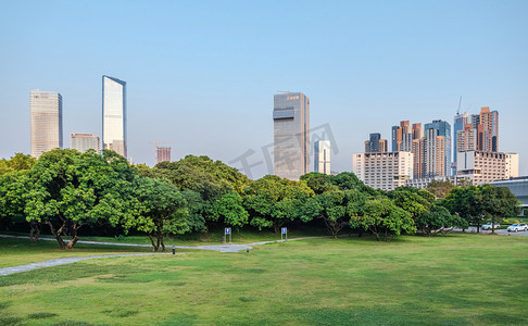 小岛草坪团建摄影照片_深圳大学校园景色摄影图