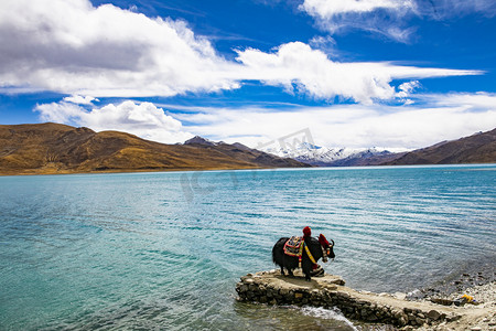 西藏西藏摄影照片_西藏纳木措湖风景区摄影图