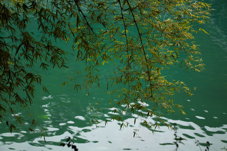 png绿水摄影照片_竹叶绿水自然风景摄影图