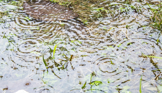 雨天积水地面水波纹自然风景摄影图