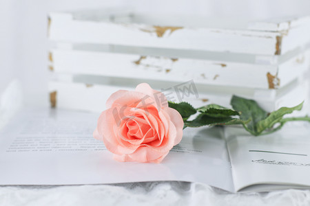 浪漫玫瑰花摄影图