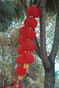 挂在树上的红灯笼摄影图