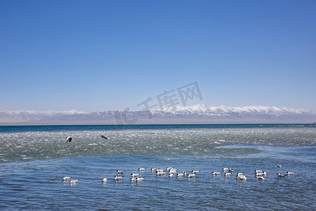 骑行青海湖摄影照片_风景美丽青海湖摄影图
