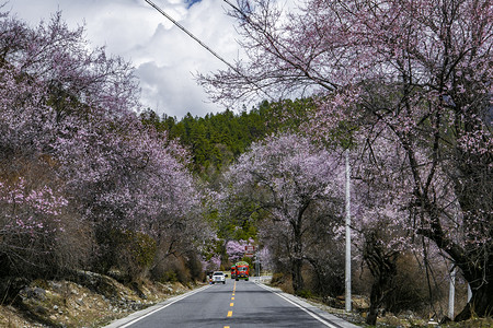 桃花山摄影照片_山下桃树林摄影图