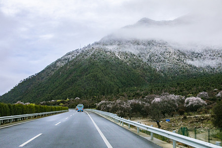 大山森林公路摄影图