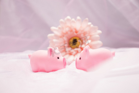 唯美粉色可爱小猪摄影摄影图