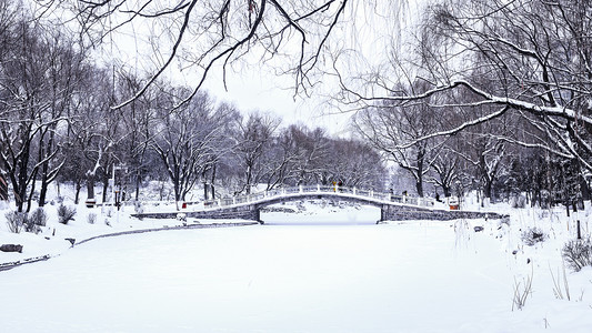 呼和浩特满都海公园冬季雪景摄影图