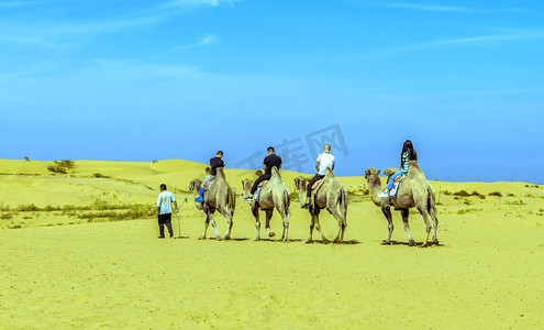 内蒙古库布其沙漠旅游驼队摄影图