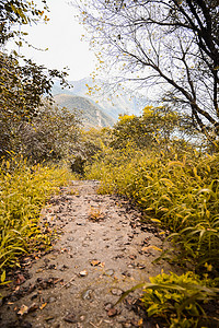 秋天 大山 高山 秋天的风景 文艺