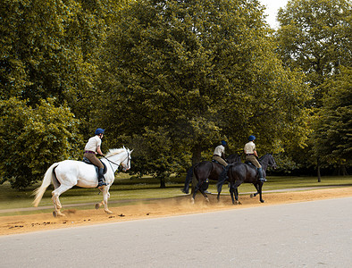 假面骑士龙骑摄影照片_公园骑马人像